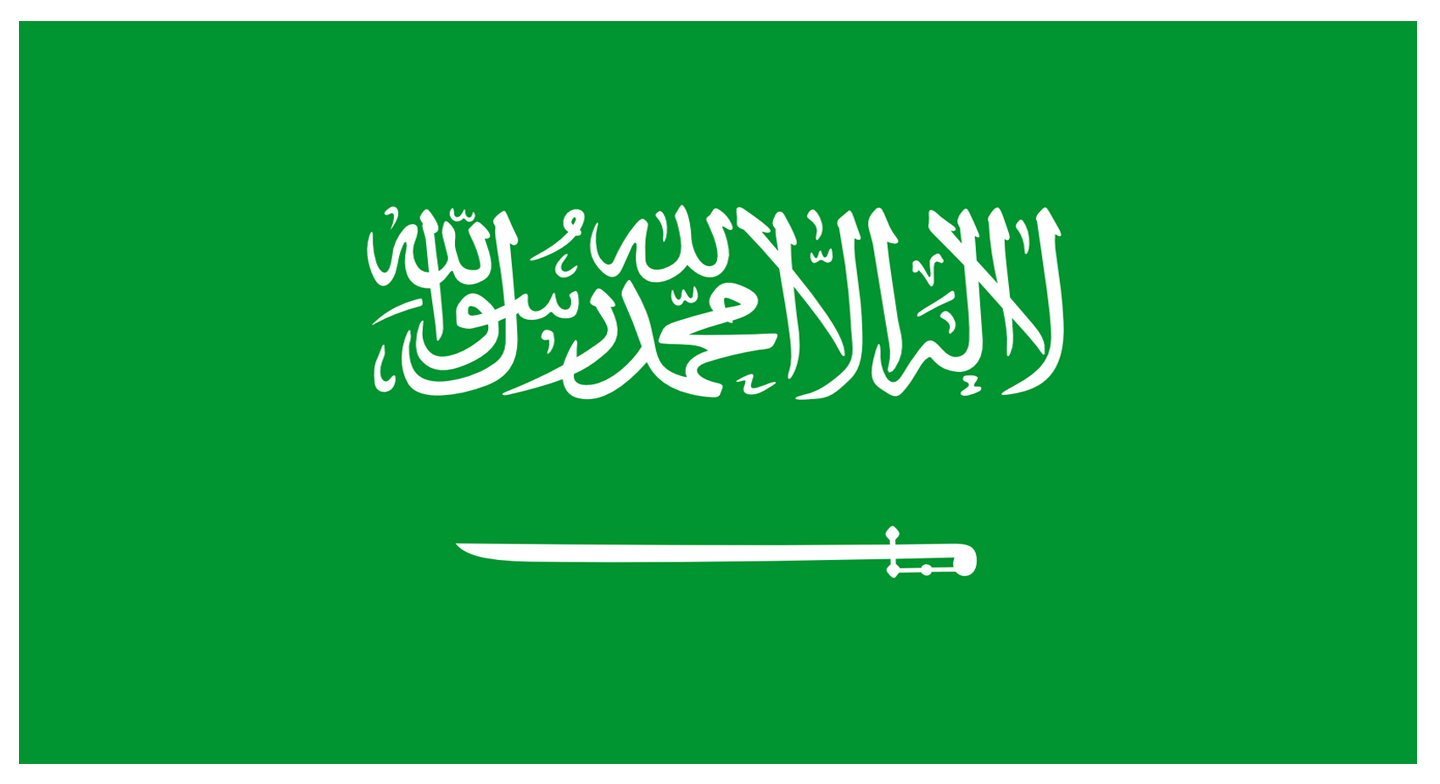Saudi Arabia flag - Offer 2 Check